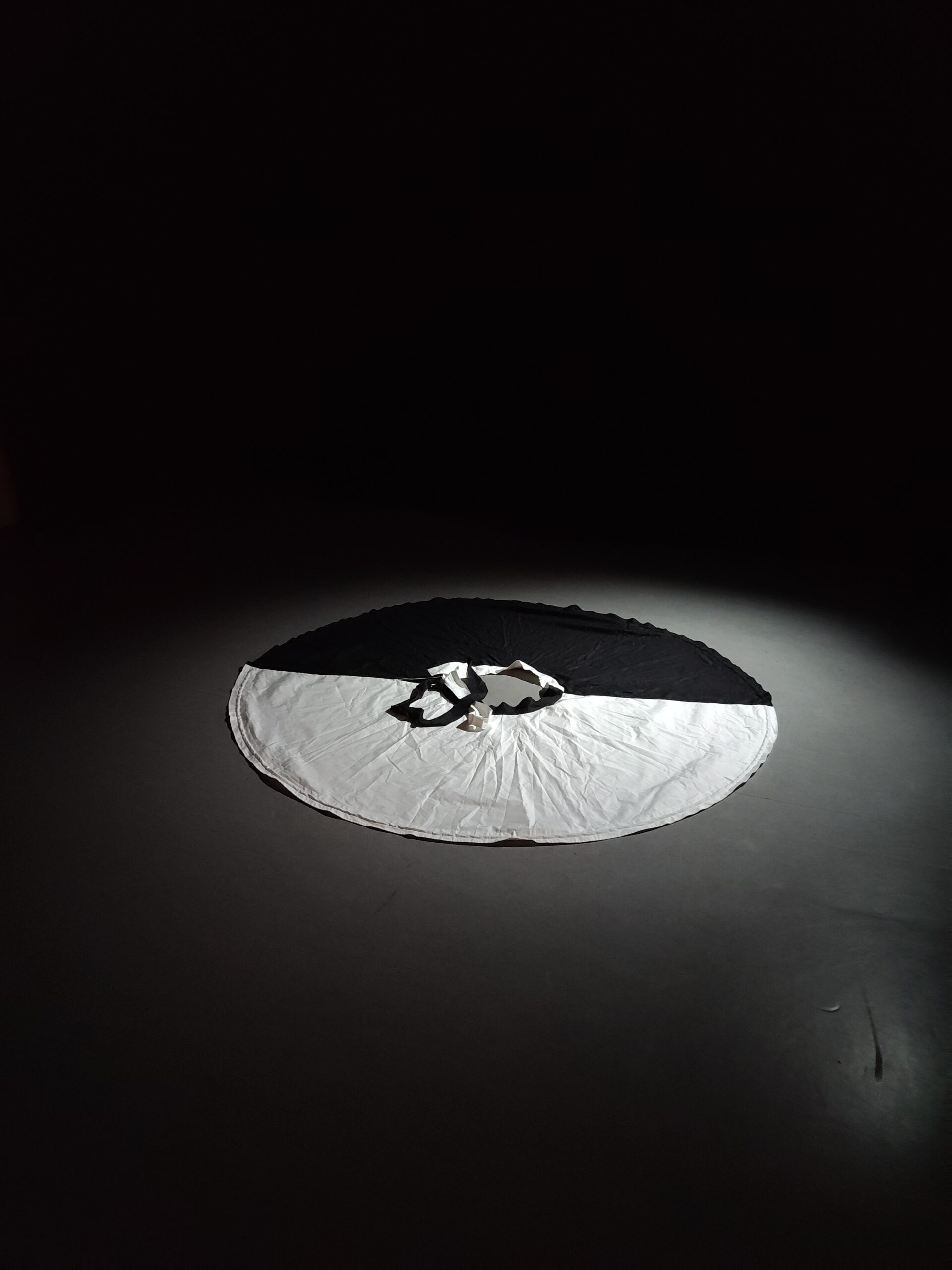 YIN Yang